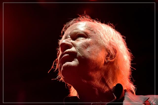 NIK_80016 Radio Birdman 18-10-2018 (Zz) (p).jpg
